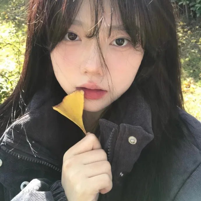 笨鸟满天飞